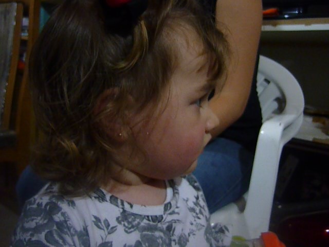 fotos/2012-11-30 - cumple osvaldo en casa/P1020429.JPG